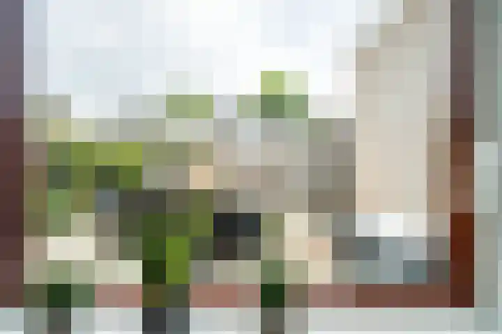 Van Poelgeestlaan 29 Leiderdorp thumbnail 9