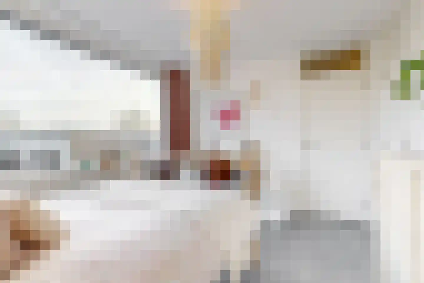 van Poelgeestlaan 78 Koudekerk aan den Rijn thumbnail 22