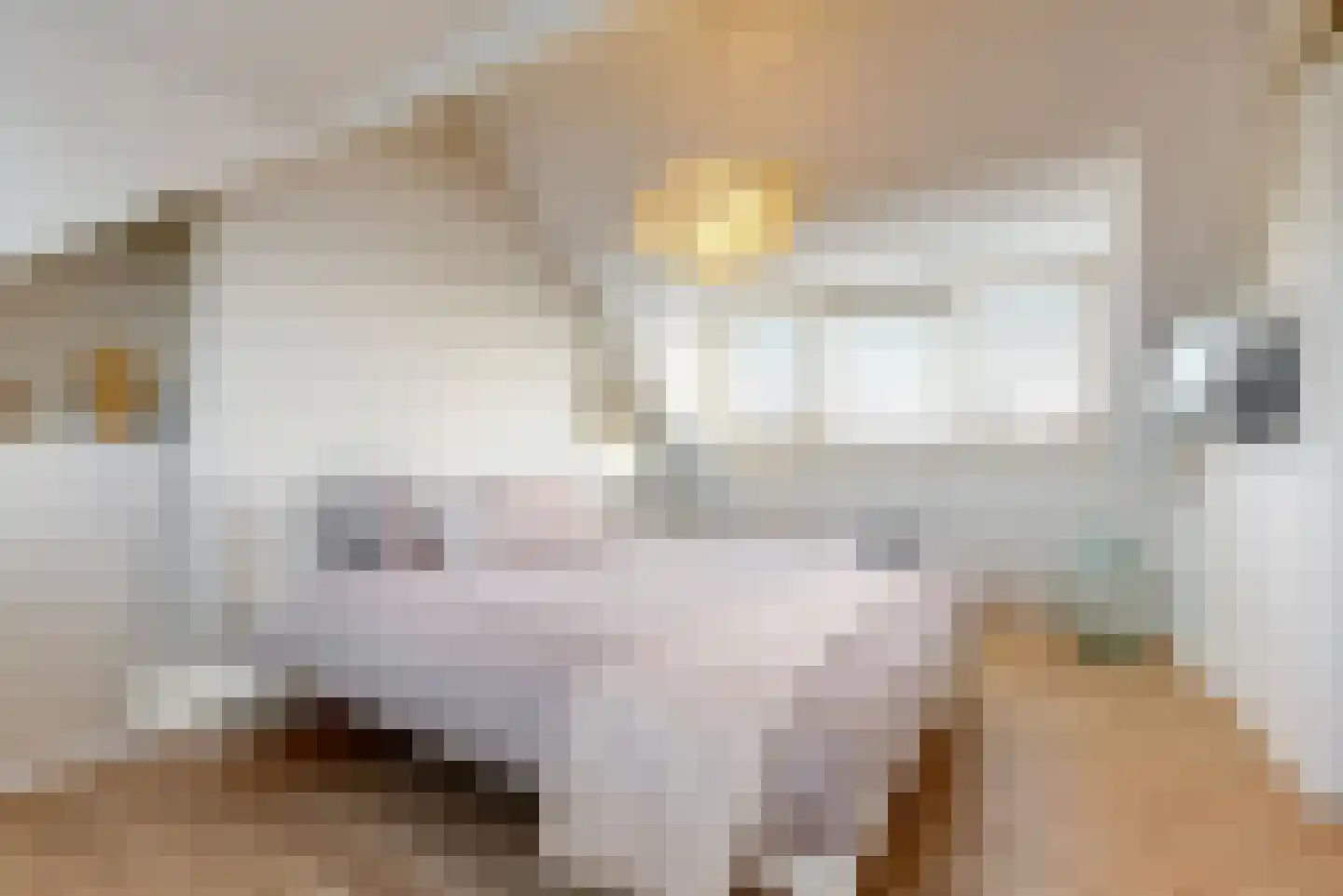 van Poelgeestlaan 78 Koudekerk aan den Rijn thumbnail 32