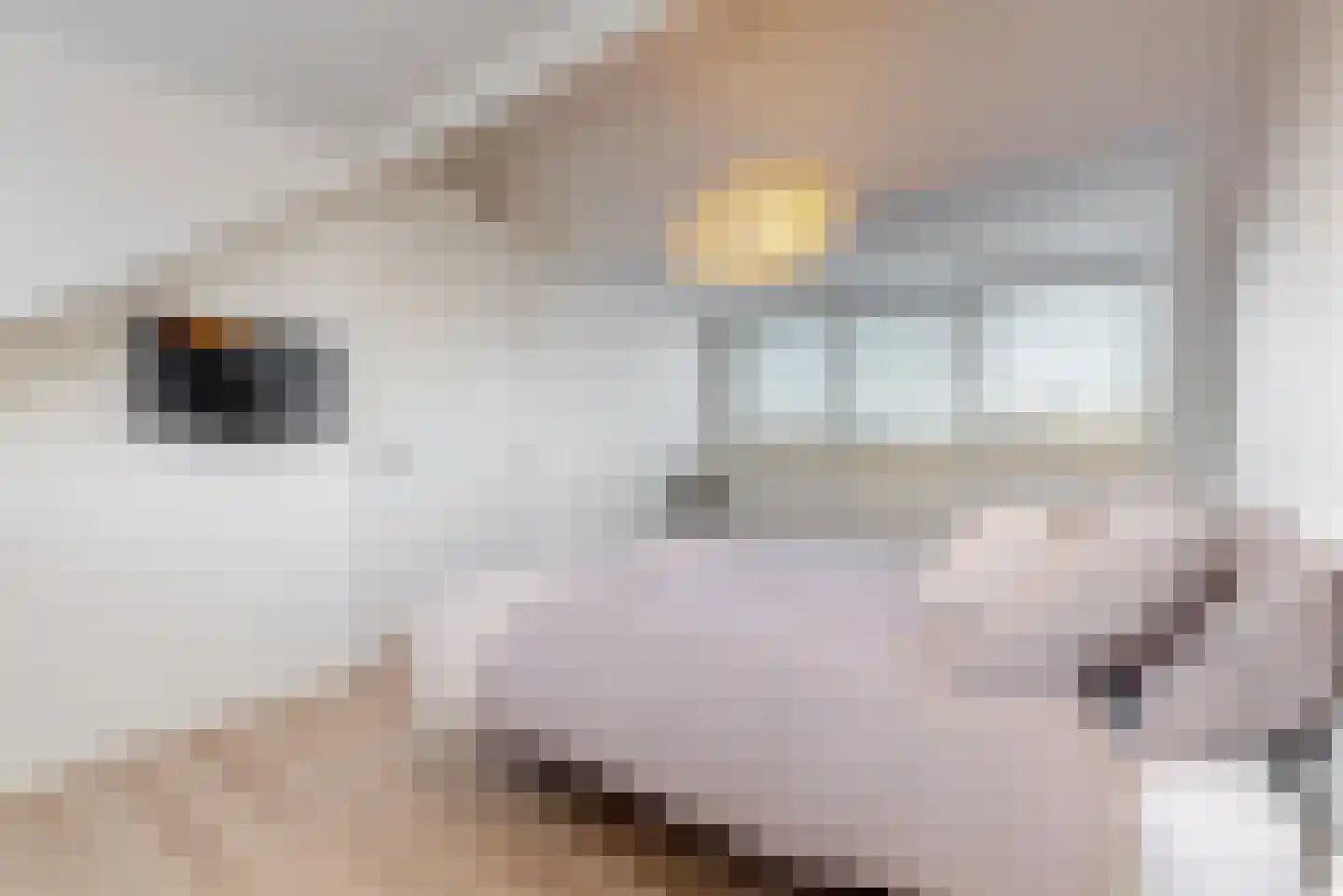 van Poelgeestlaan 78 Koudekerk aan den Rijn thumbnail 33