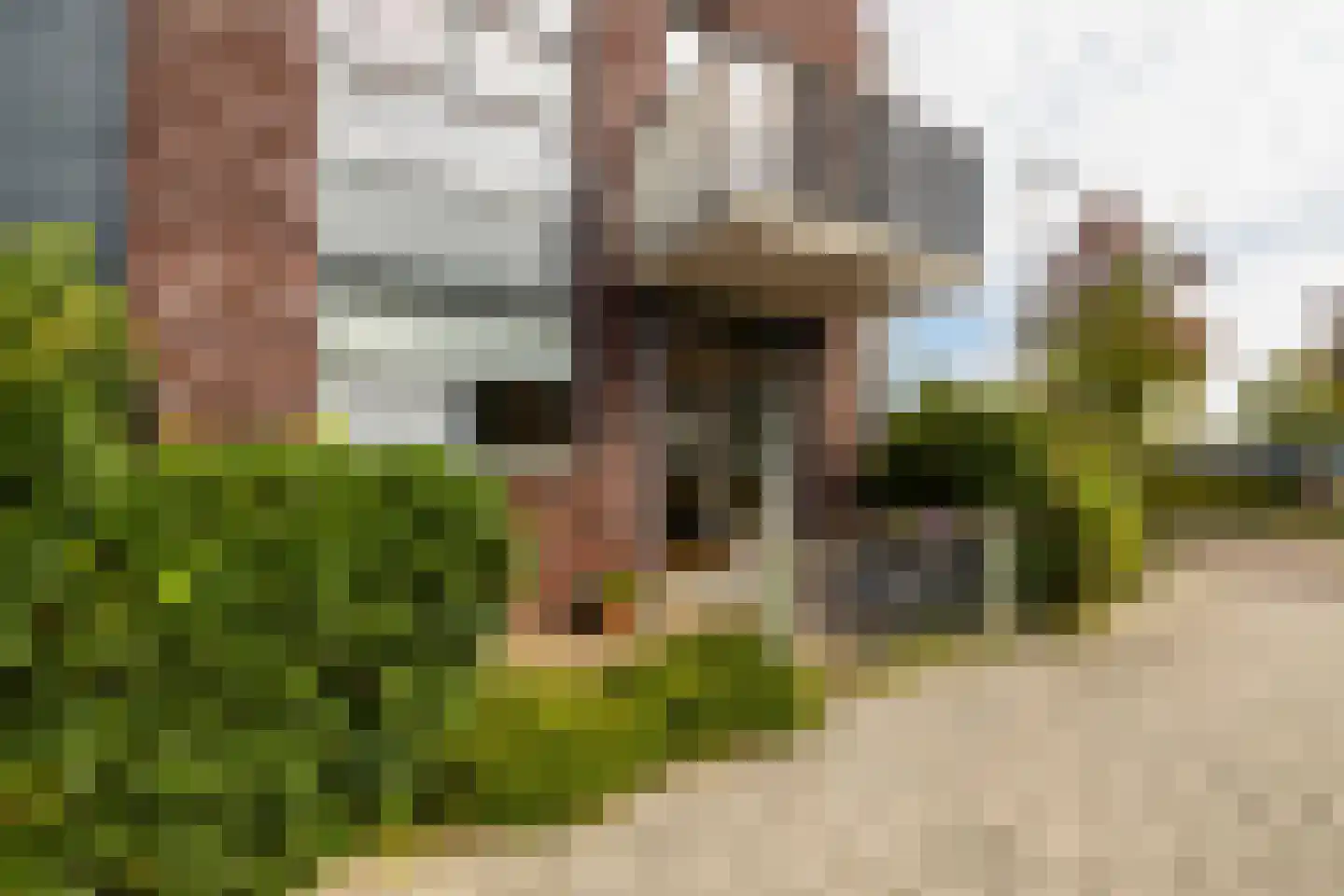 Van Poeljestraat 21 Honselersdijk thumbnail 16