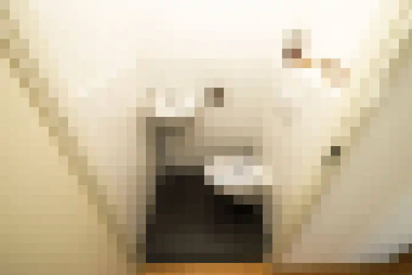 Van Poeljestraat 21 Honselersdijk thumbnail 19