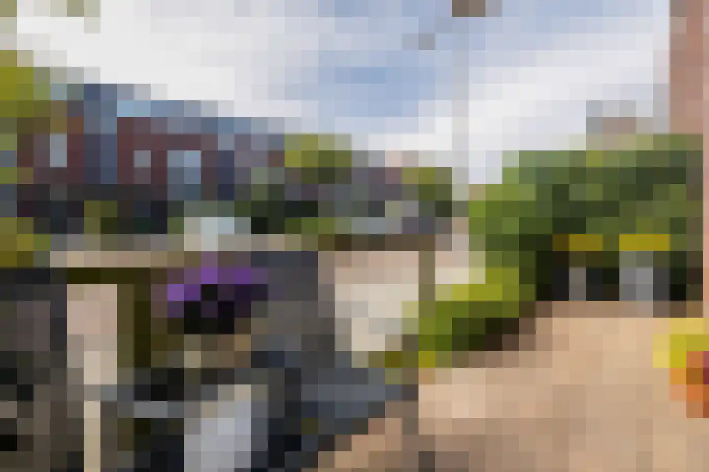 Van Poeljestraat 21 Honselersdijk thumbnail 5