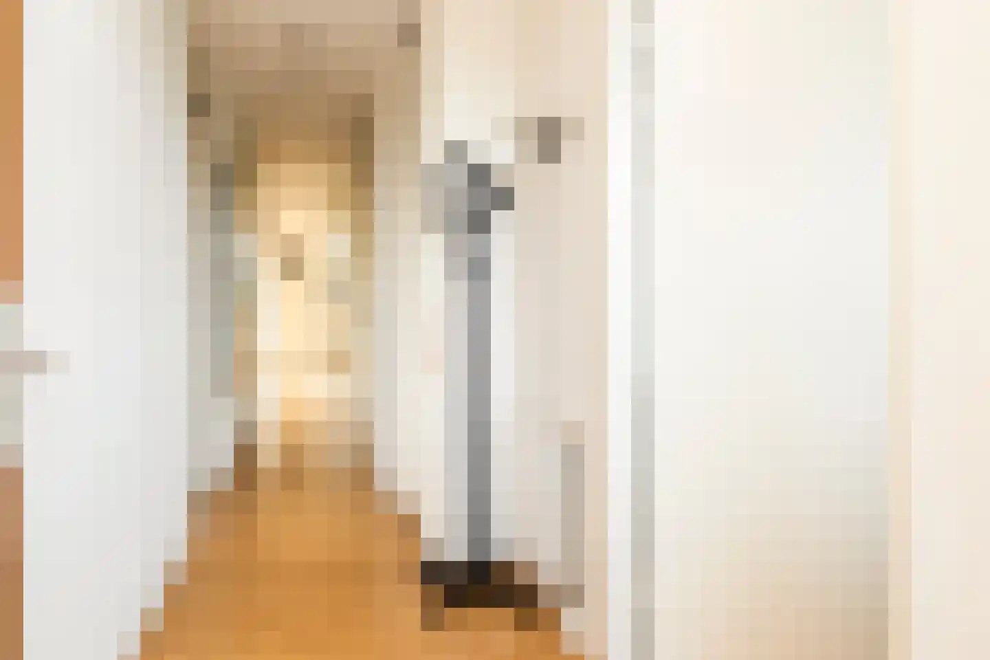Van Poeljestraat 21 Honselersdijk thumbnail 7