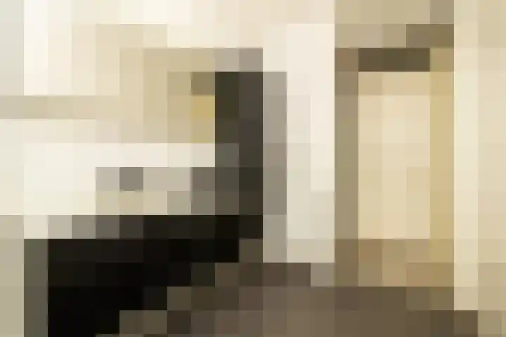 Van Poeljestraat 23 Honselersdijk thumbnail 20