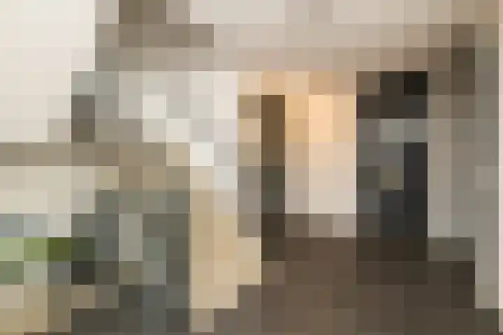 Van Poeljestraat 23 Honselersdijk thumbnail 30
