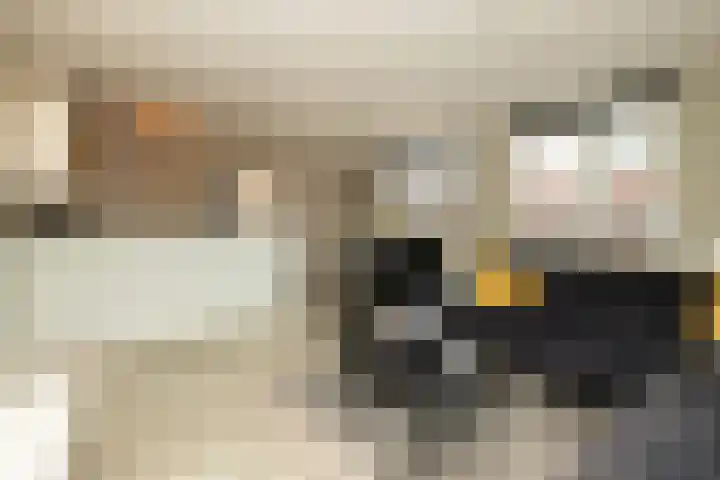 Van Poeljestraat 23 Honselersdijk thumbnail 7