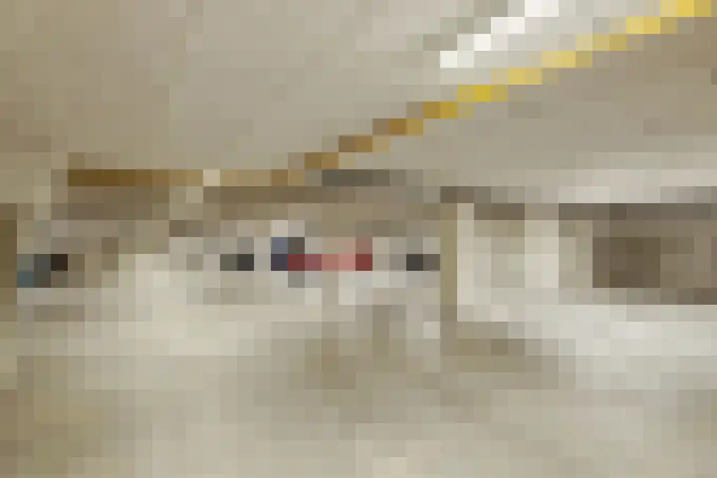 Van Poeljestraat 32 Honselersdijk thumbnail 14