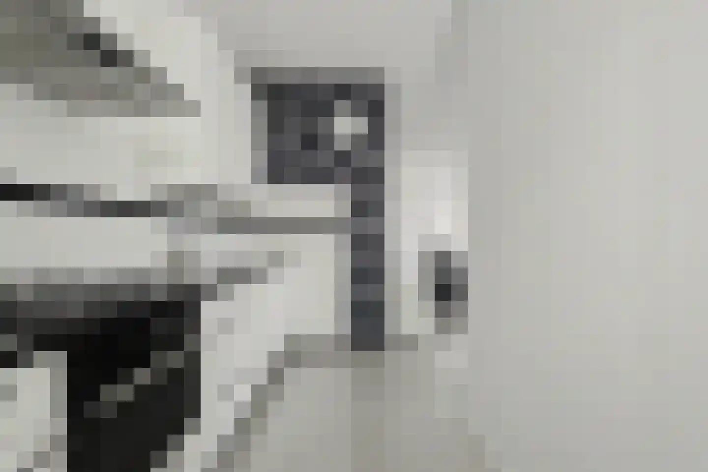 Van Poeljestraat 32 Honselersdijk thumbnail 8