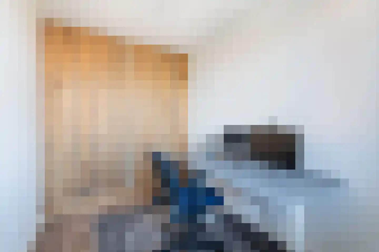 Van Poeljestraat 33 Honselersdijk thumbnail 37