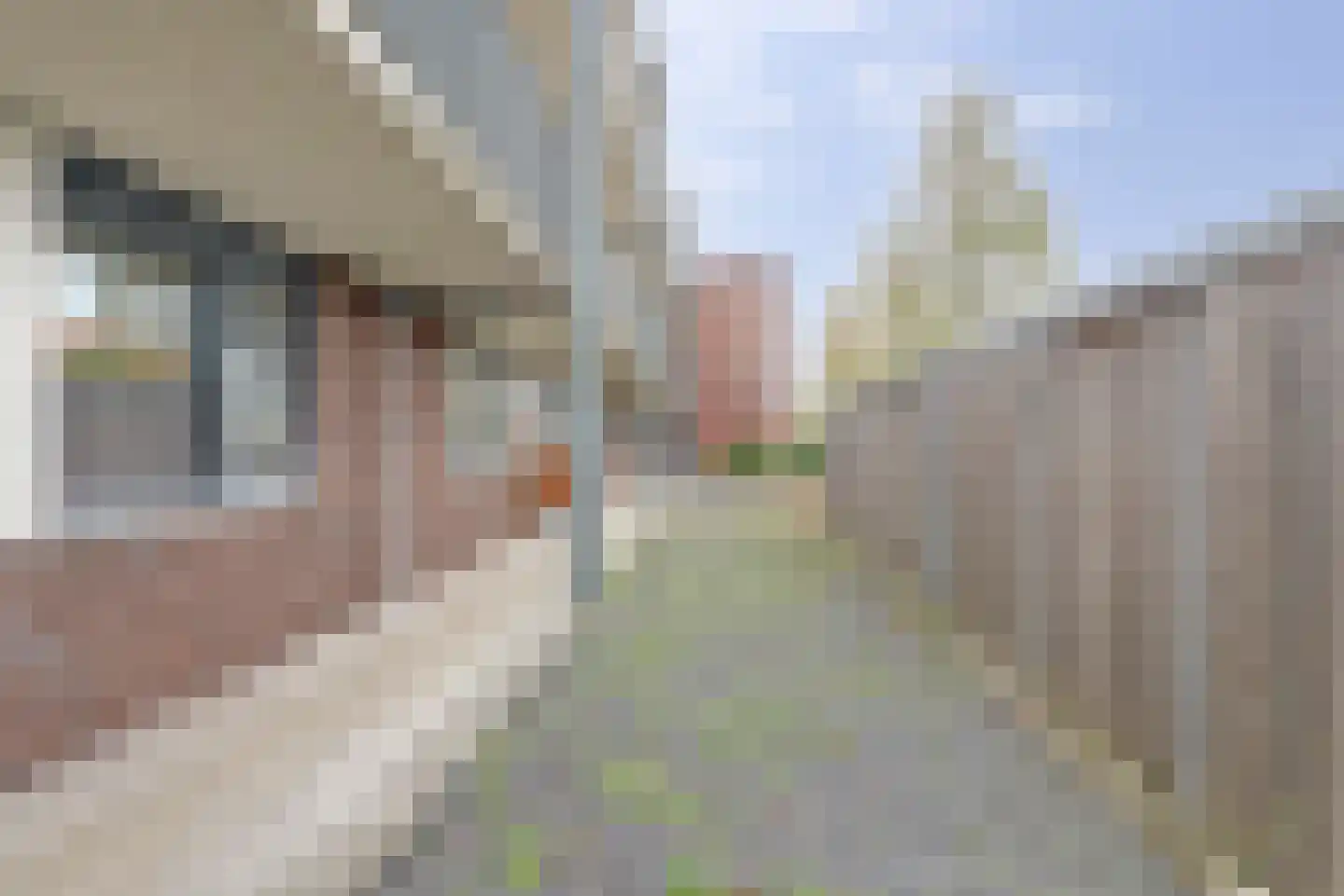 Van Poeljestraat 41 Honselersdijk thumbnail 26