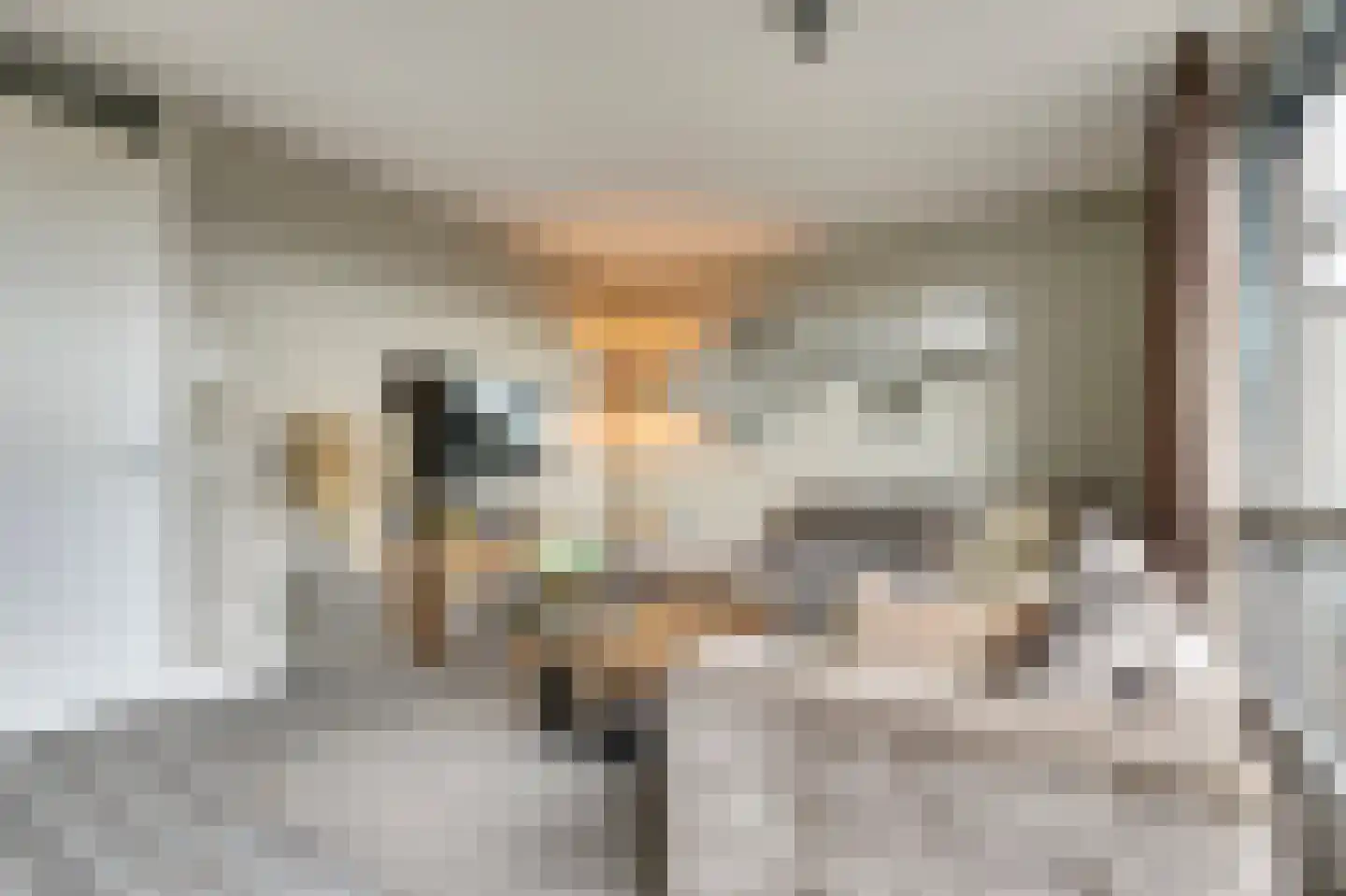 Van Poeljestraat 41 Honselersdijk thumbnail 6