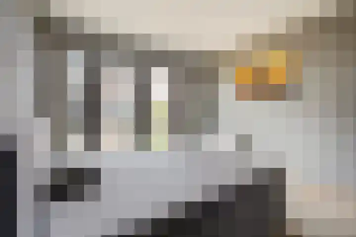 Van Poeljestraat 46 Honselersdijk thumbnail 34
