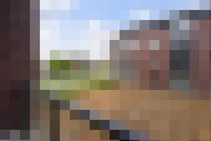 Van Poeljestraat 46 Honselersdijk thumbnail 36