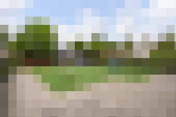 Van Poeljestraat 46 Honselersdijk thumbnail 47