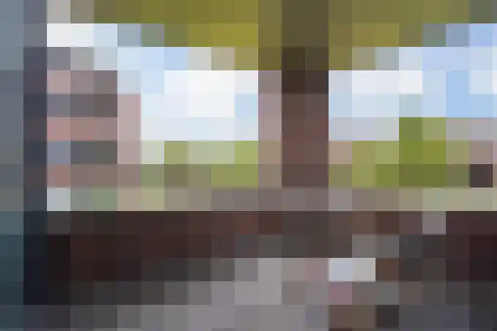 Van Poeljestraat 46 Honselersdijk thumbnail 5