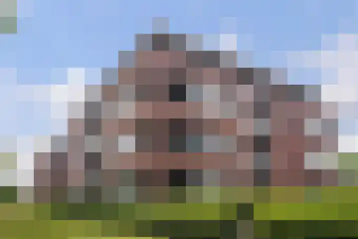 Van Poeljestraat 46 Honselersdijk thumbnail 50