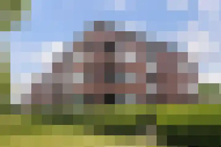 Van Poeljestraat 46 Honselersdijk thumbnail 6
