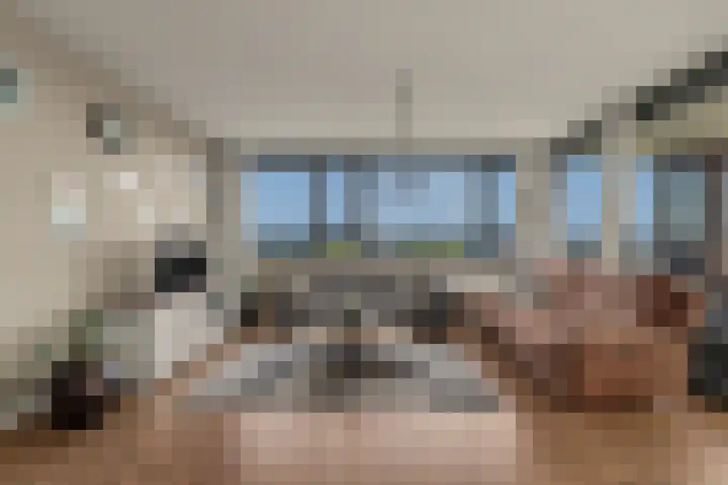 Van Poeljestraat 52 Honselersdijk thumbnail 4
