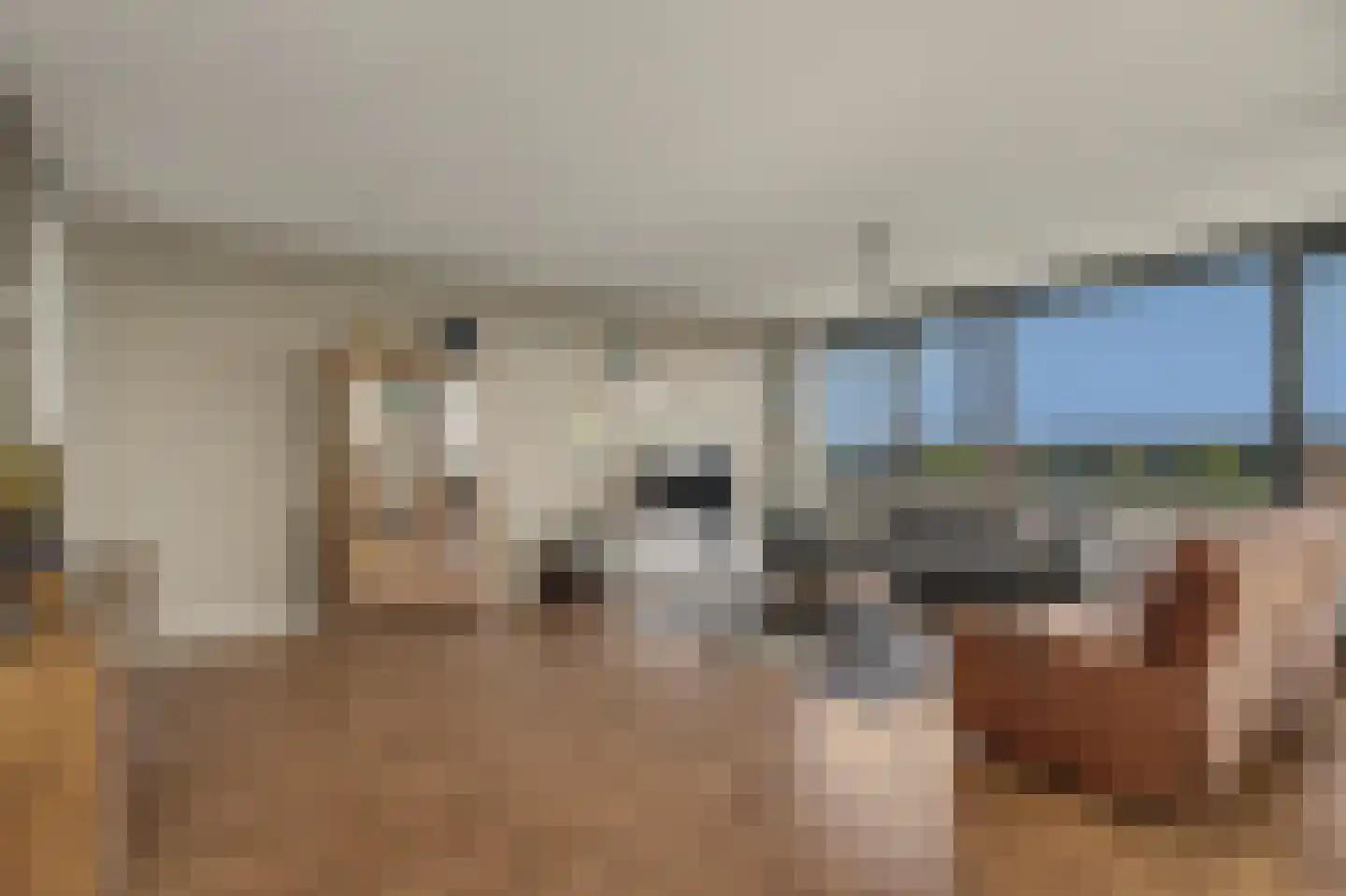 Van Poeljestraat 52 Honselersdijk thumbnail 5