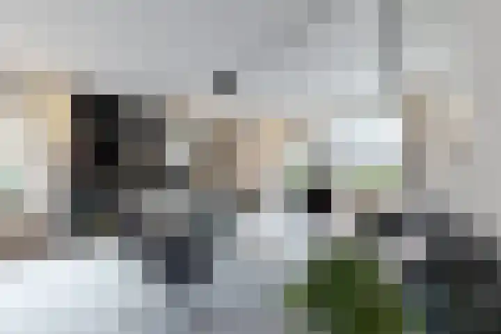 van Polanenpark 10 Klundert thumbnail 11