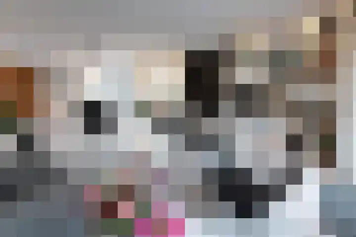 van Polanenpark 10 Klundert thumbnail 15