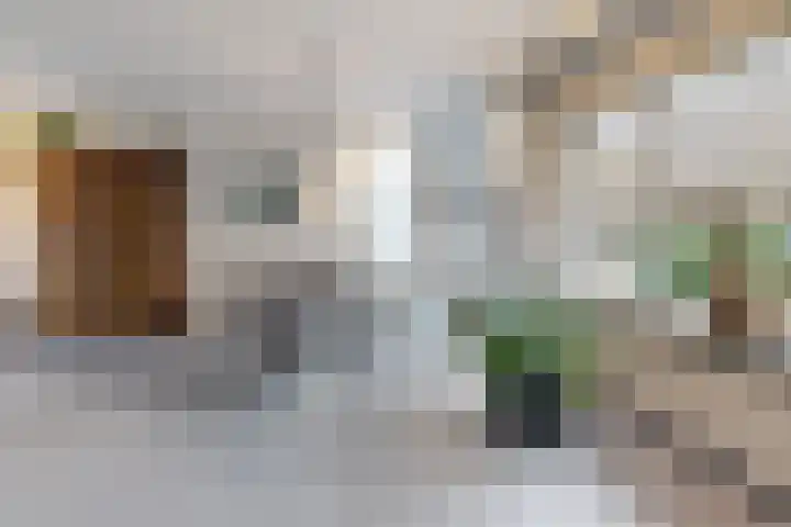 van Polanenpark 10 Klundert thumbnail 16