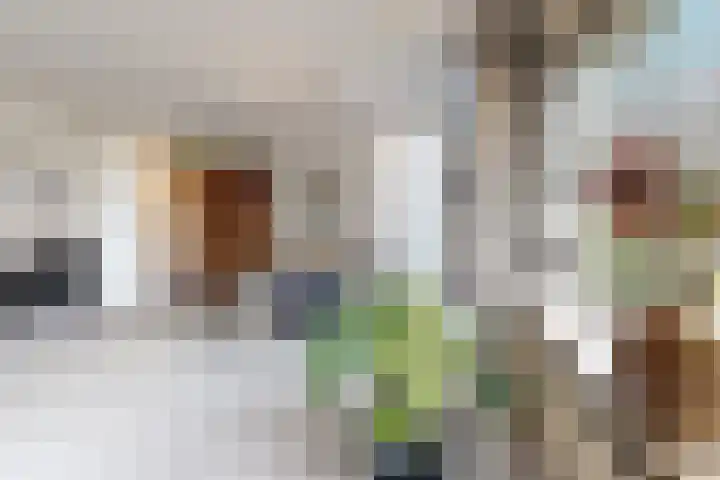 van Polanenpark 10 Klundert thumbnail 17