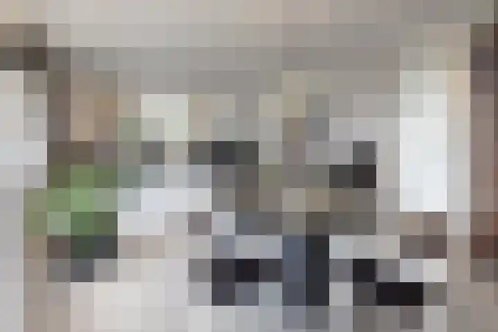 van Polanenpark 10 Klundert thumbnail 18
