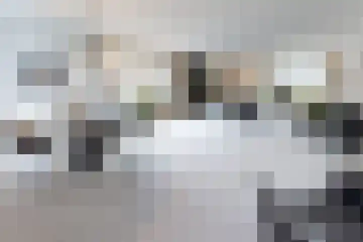 van Polanenpark 10 Klundert thumbnail 19