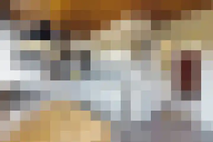 van Polanenpark 10 Klundert thumbnail 21