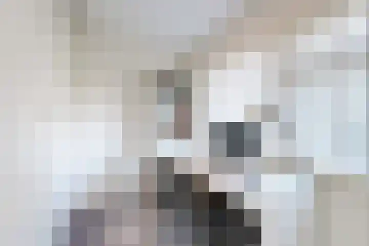 van Polanenpark 10 Klundert thumbnail 28