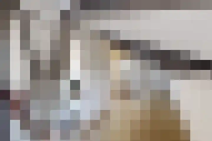 van Polanenpark 10 Klundert thumbnail 32