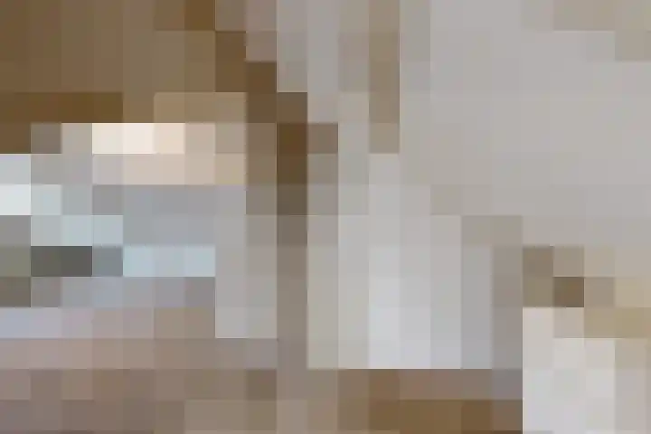 van Polanenpark 10 Klundert thumbnail 38