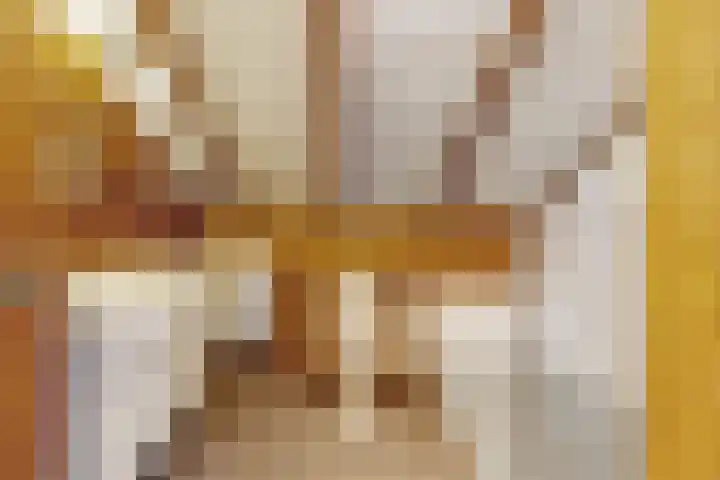 van Polanenpark 10 Klundert thumbnail 44