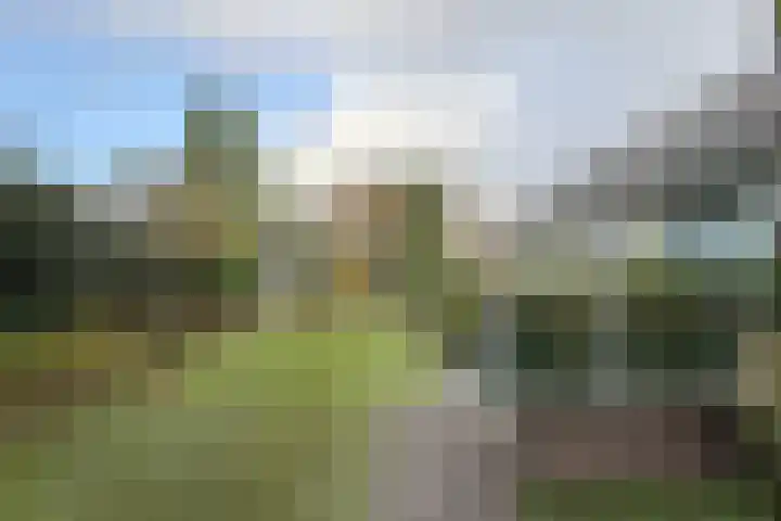 van Polanenpark 10 Klundert thumbnail 51
