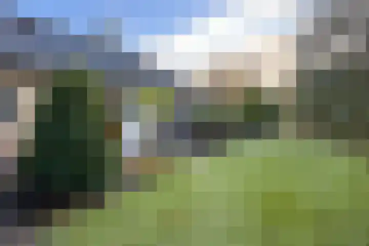 van Polanenpark 10 Klundert thumbnail 53