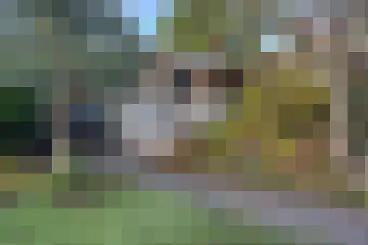 van Polanenpark 10 Klundert thumbnail 54