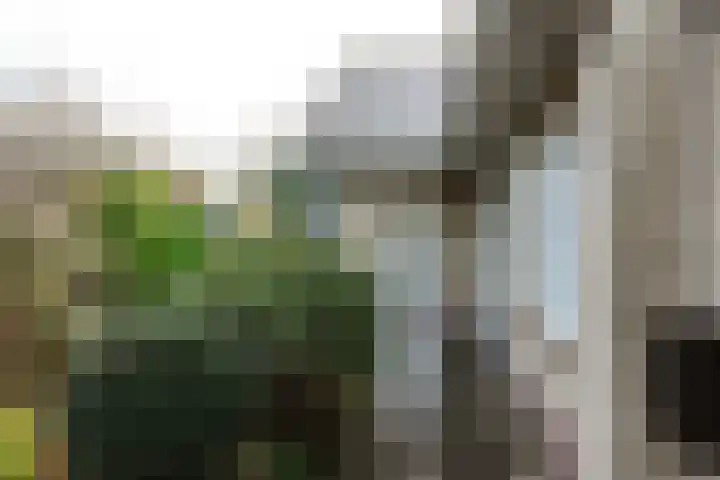van Polanenpark 10 Klundert thumbnail 57