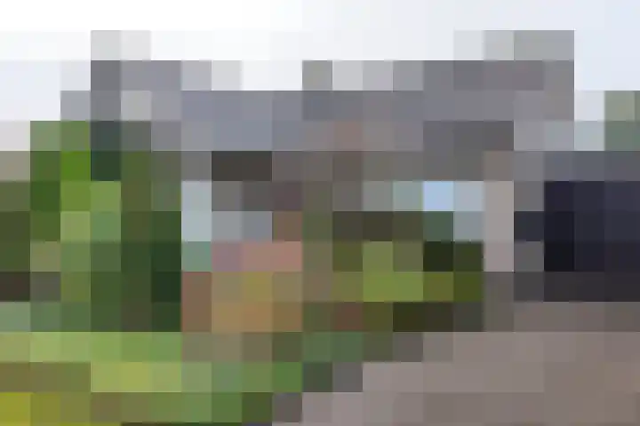 van Polanenpark 10 Klundert thumbnail 58