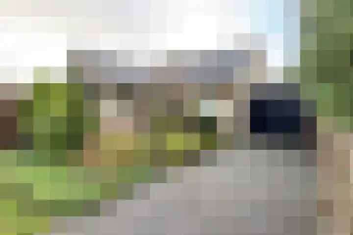 van Polanenpark 10 Klundert thumbnail 59