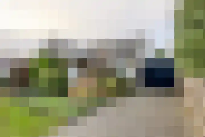 van Polanenpark 10 Klundert thumbnail 60