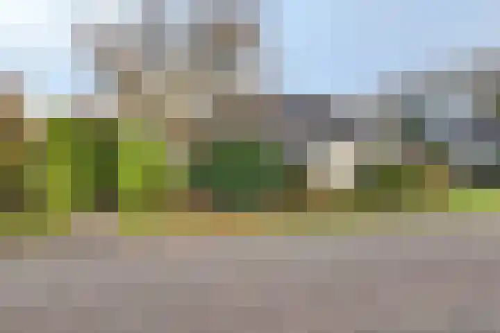 van Polanenpark 10 Klundert thumbnail 64