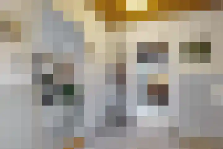 van Polanenpark 10 Klundert thumbnail 7