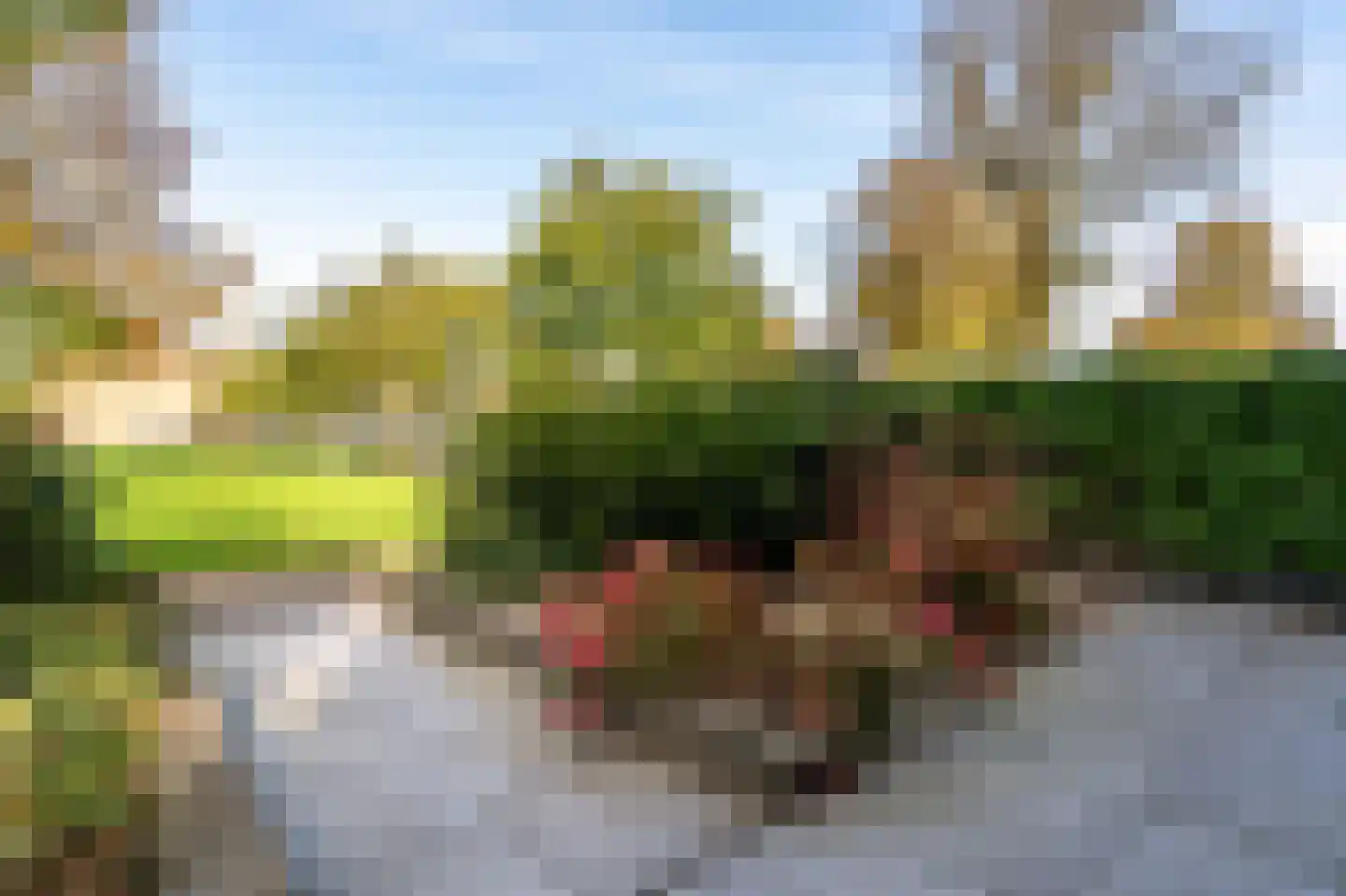 Van Polanenpark 116 Wassenaar thumbnail 9
