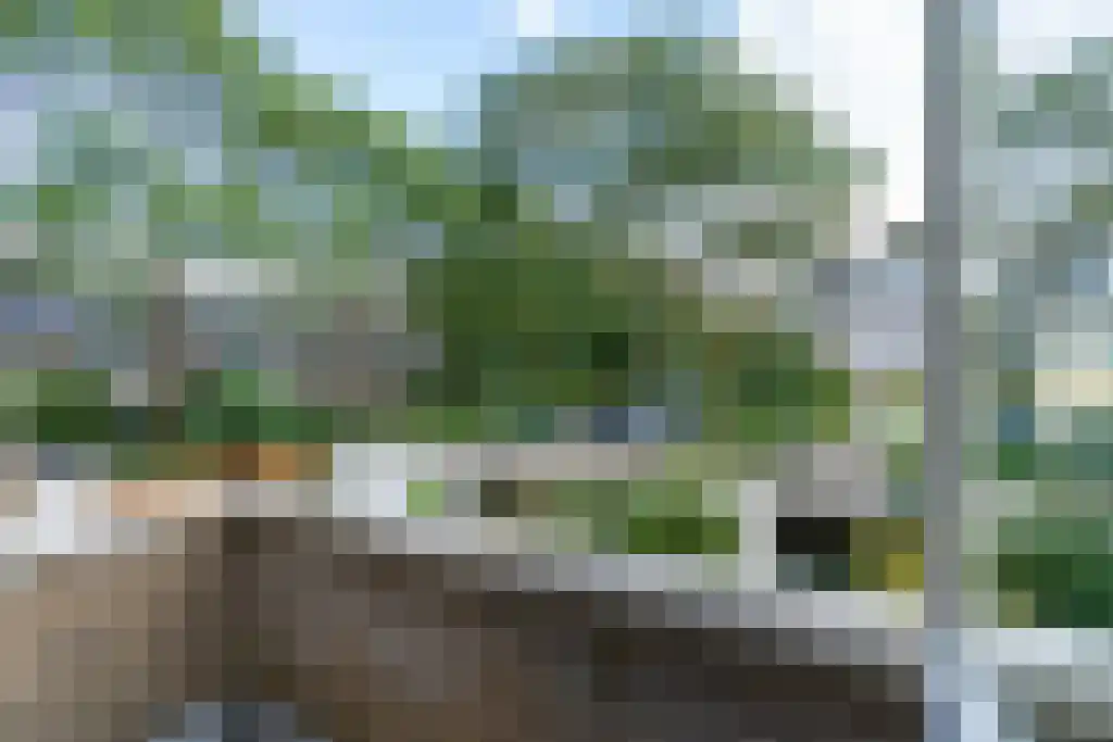 Van Polanenpark 162 Wassenaar thumbnail 16