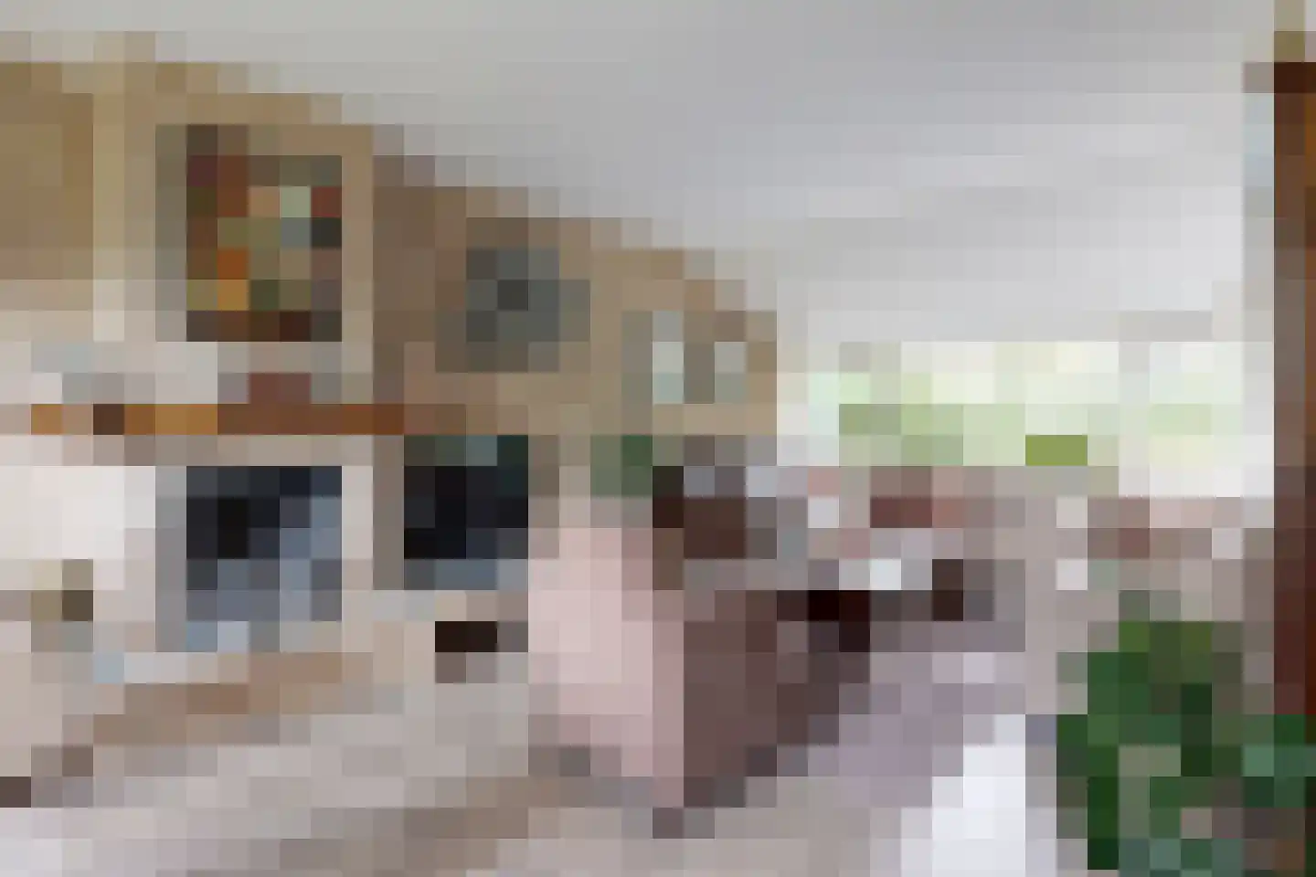 van Polanenpark 17 Klundert thumbnail 10