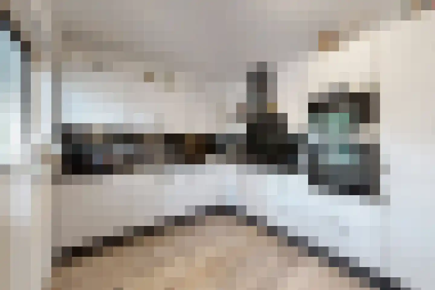 van Polanenpark 17 Klundert thumbnail 21