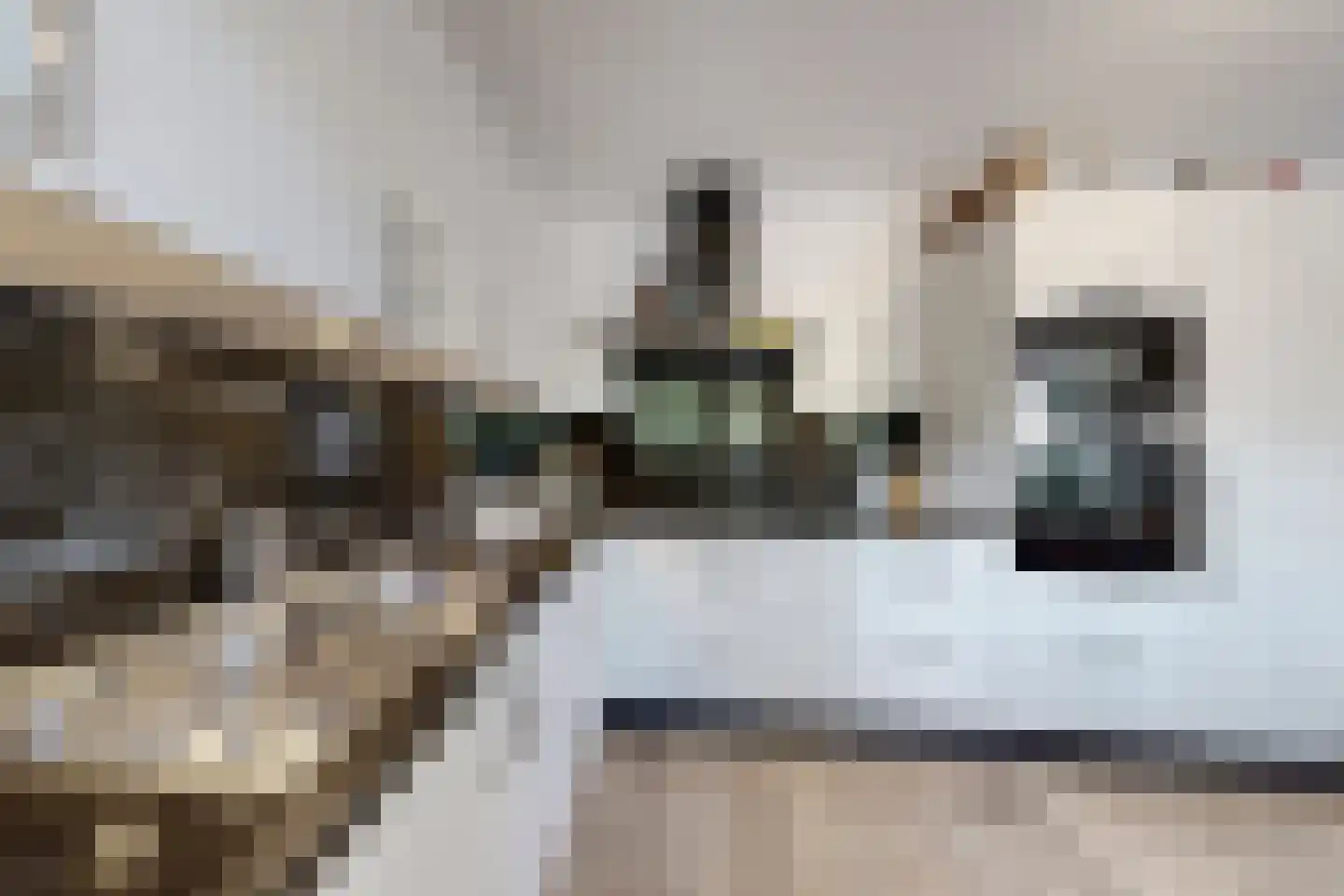 van Polanenpark 17 Klundert thumbnail 22