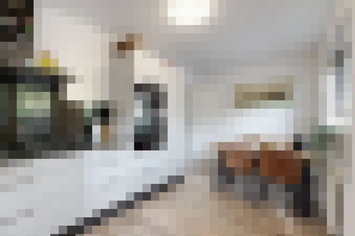 van Polanenpark 17 Klundert thumbnail 23